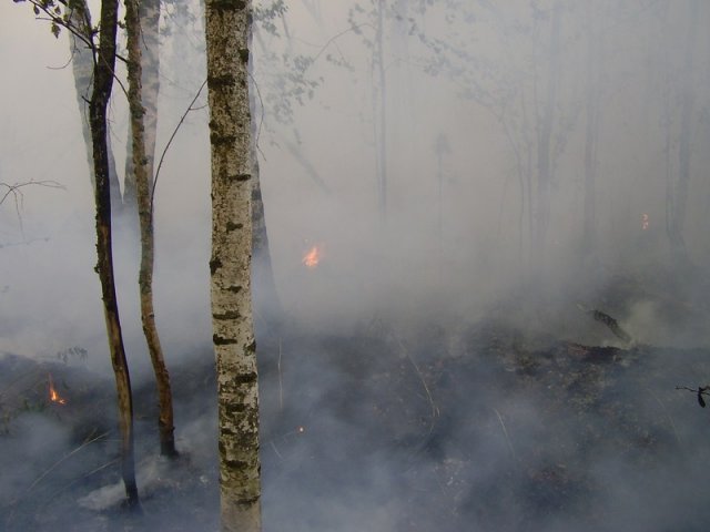 Заводчане на пожарах 2010 года